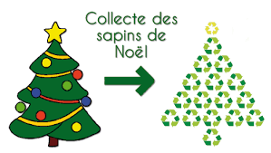 image sapin